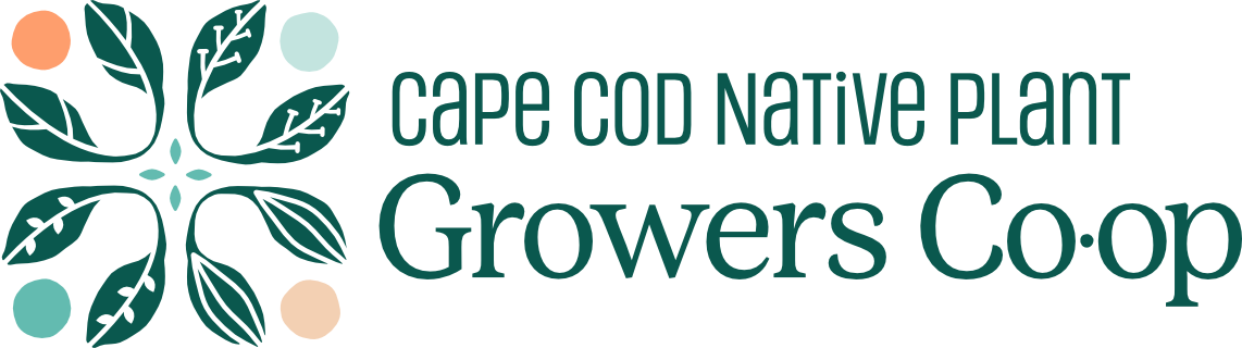 Cape Cod Native Plant Growers’ Co-op