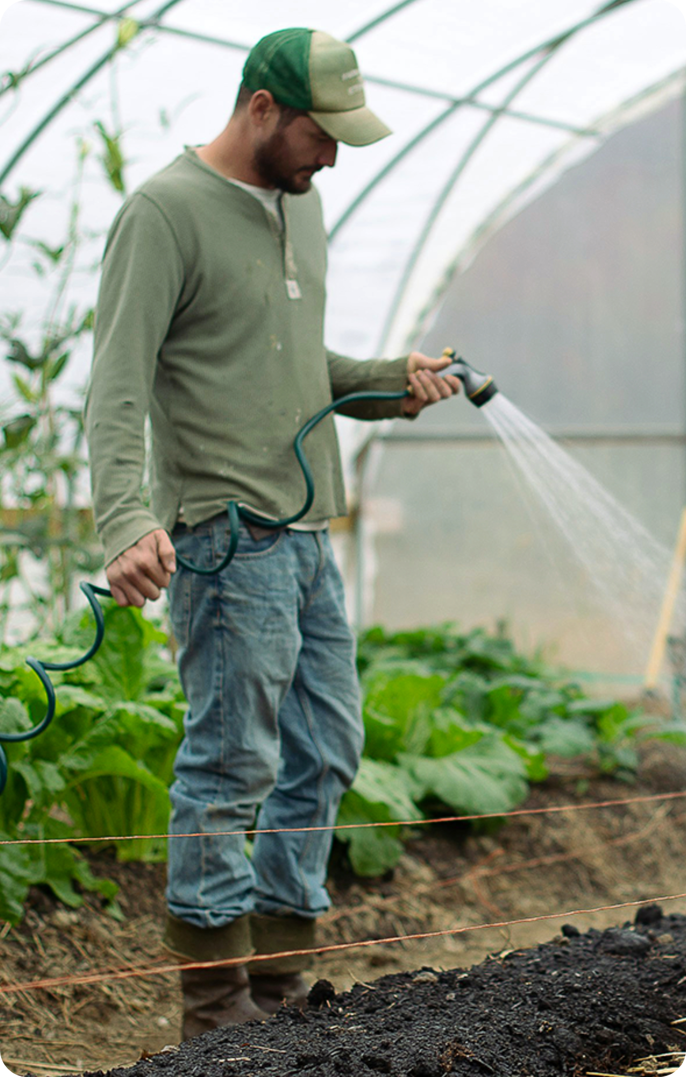 ccnp-growers-watering
